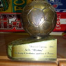 Премия "Золотой Стрелец-2002" За вклад в развитие любительского футбола в России